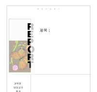 레포트표지 (나비) 레포트표지 (나비)